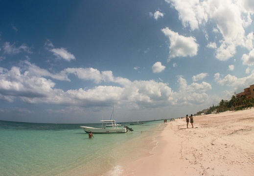 Lonely beach